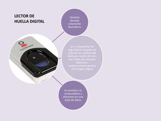 También
llamado
solamente
Biométrico
es un dispositivo de
seguridad encargado de
detectar los relieves del
dedo por medio de luz ó
por medio de sensores
eléctricos,
posteriormente genera
una imagen digital
Es enviada a la
computadora y
almacena en una
base de datos
LECTOR DE
HUELLA DIGITAL
 