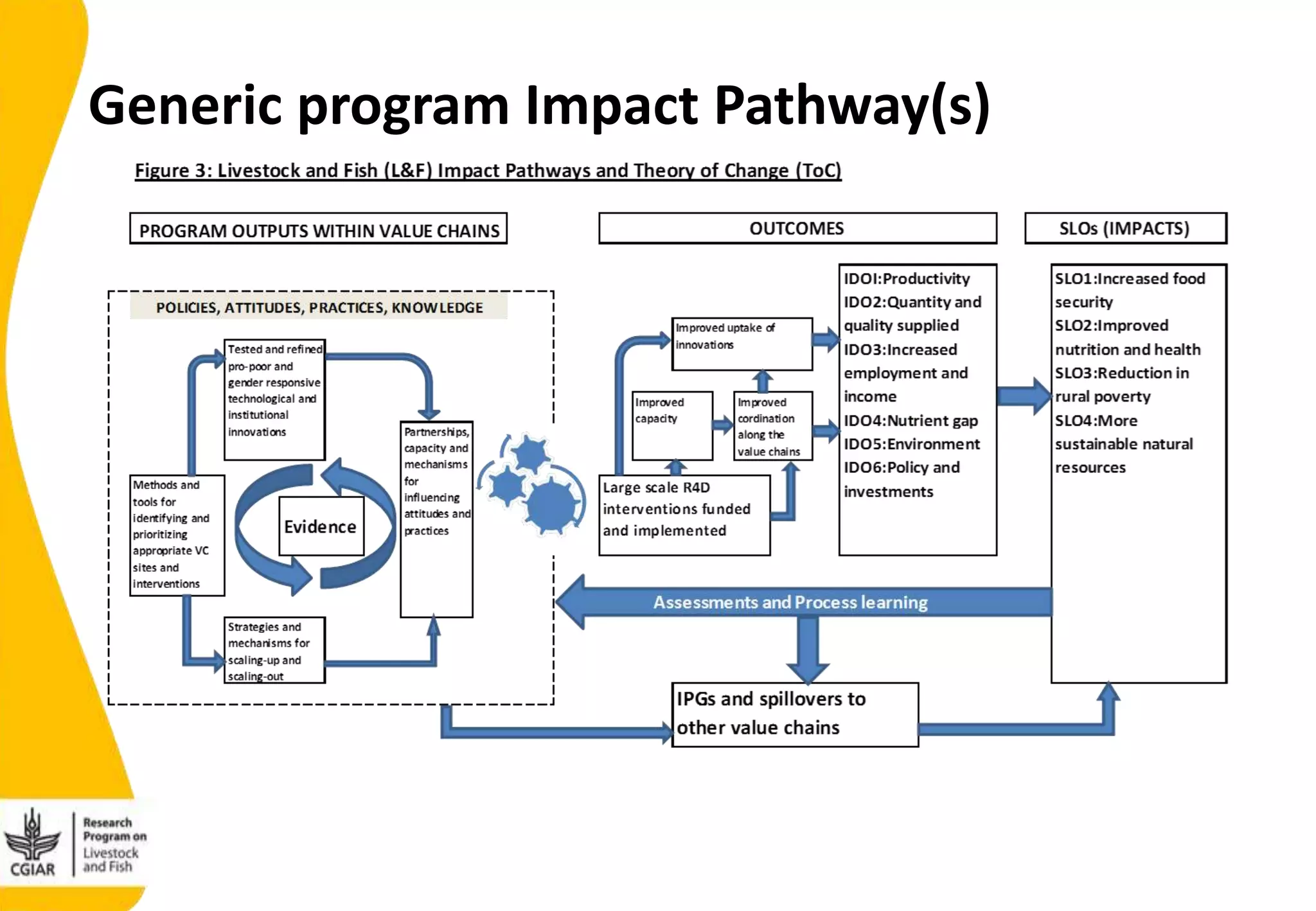 Generic program Impact Pathway(s)
 