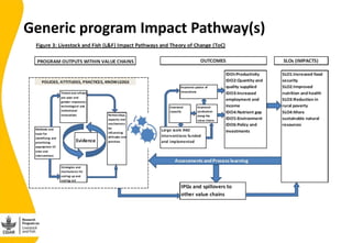 Validating the Nicaragua Dual Purpose Cattle  Value chain Impact Pathway(s) 