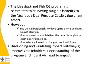 Validating the Nicaragua Dual Purpose Cattle  Value chain Impact Pathway(s) 
