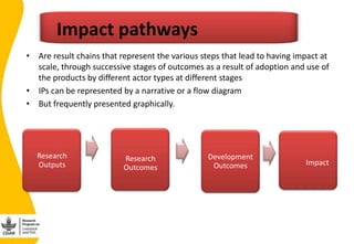 Validating the Nicaragua Dual Purpose Cattle  Value chain Impact Pathway(s) 