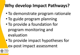 Validating the Nicaragua Dual Purpose Cattle  Value chain Impact Pathway(s) 