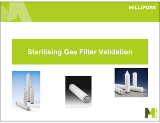 Sterilising Gas Filter Validation
 