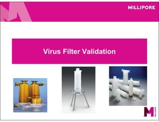 Virus Filter Validation
 