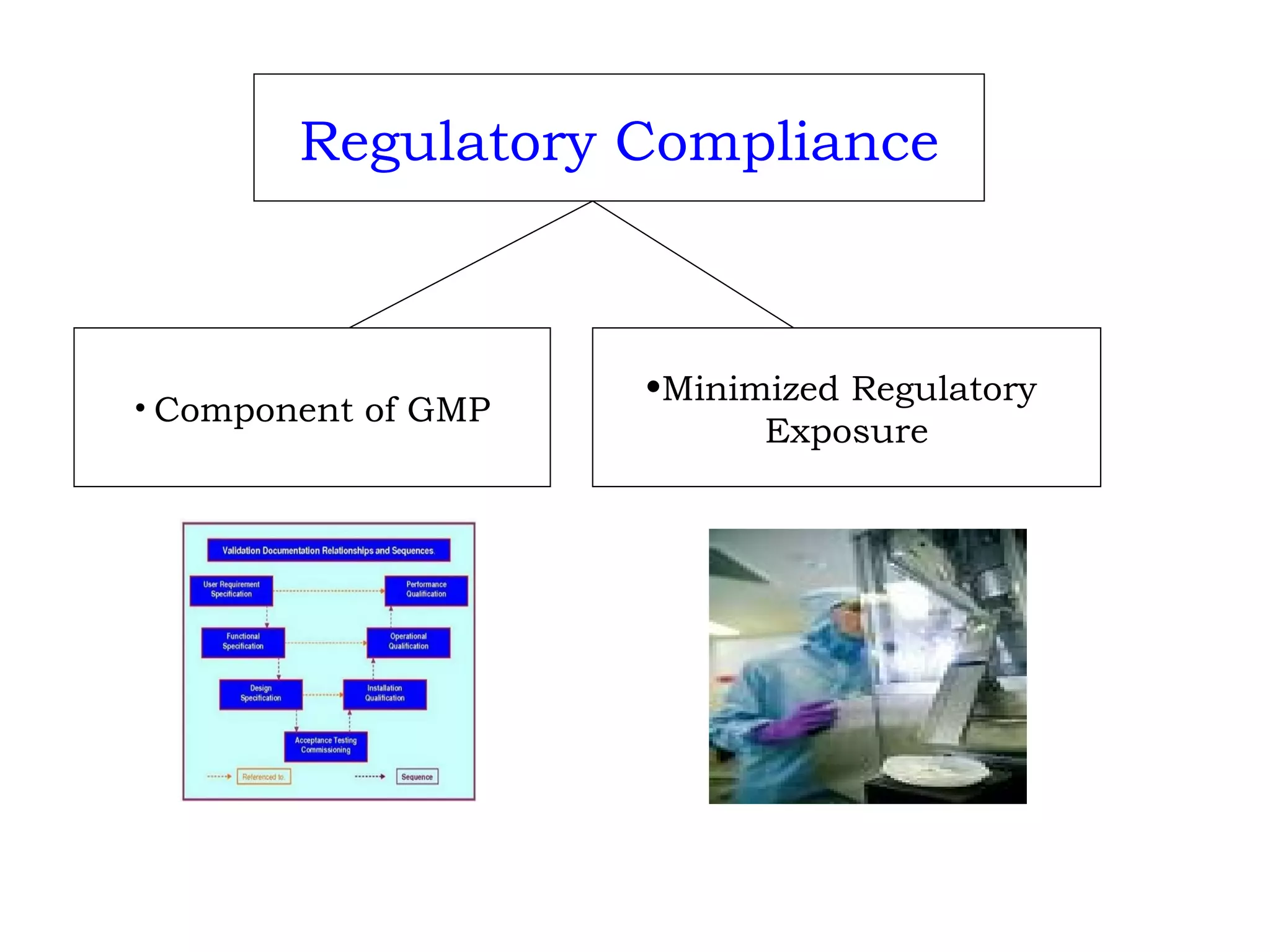 Component of GMP Minimized Regulatory  Exposure Regulatory Compliance 