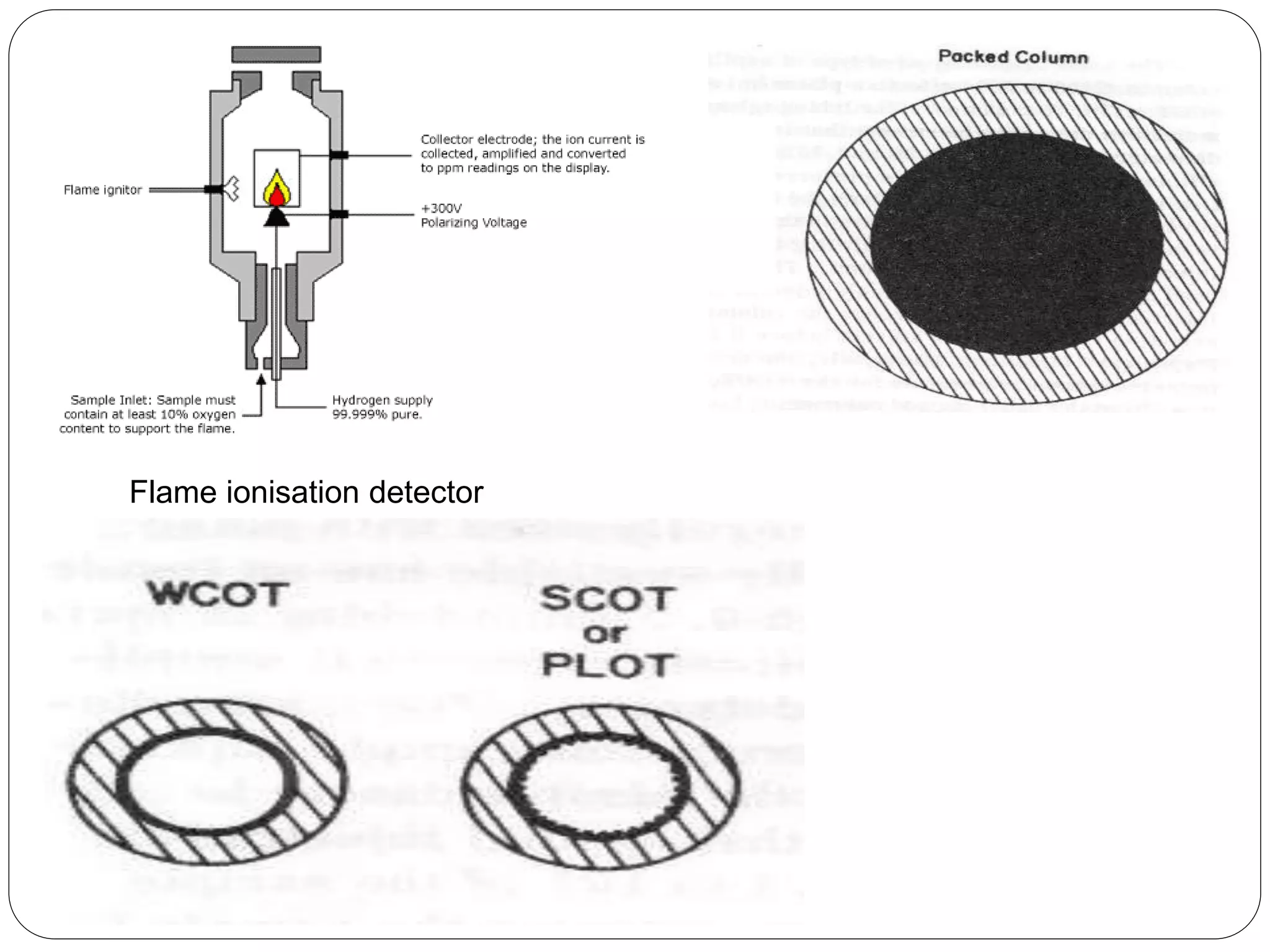 Flame ionisation detector
 
