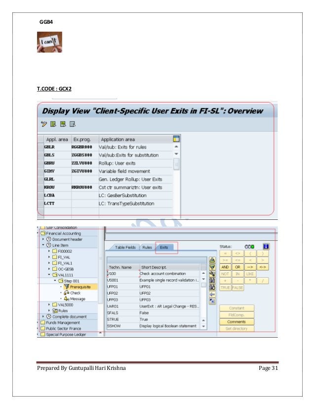 Sap validation and substitution pdf