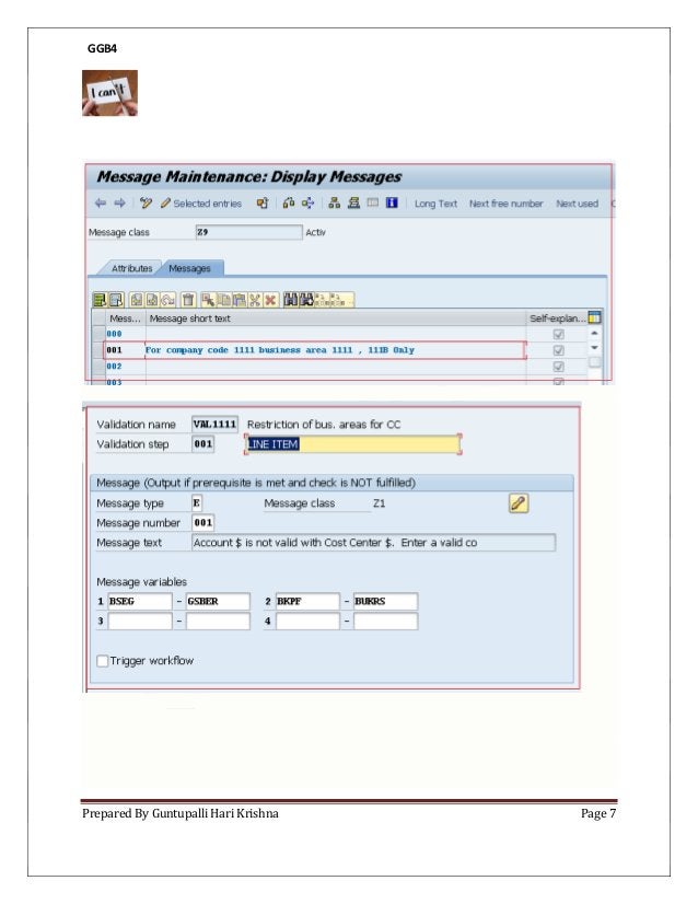 Sap validation and substitution pdf