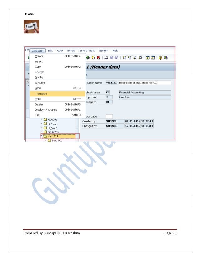 Sap validation and substitution