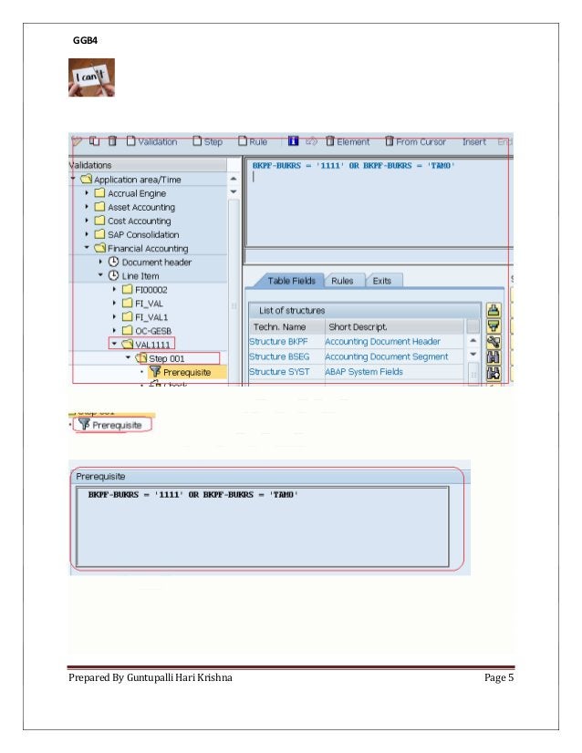 Sap validation and substitution