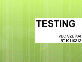 TESTING
   YEO SZE KAI
    BT10110212
 