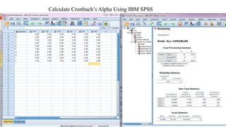 Calculate Cronbach’s Alpha Using IBM SPSS
 
