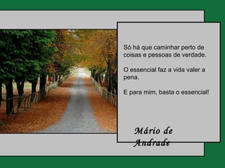 Só há que caminhar perto de
coisas e pessoas de verdade.

O essencial faz a vida valer a
pena.

E para mim, basta o essencial!




   Mário de
   Andrade
 