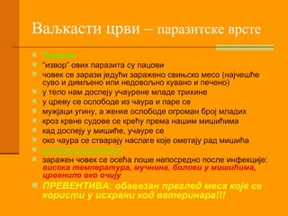 Ваљкасти црви –  паразитске врсте Трихина “ извор” ових паразита су пацови човек се зарази једући заражено свињско месо (најчешће суво и димљено или недовољно кувано и печено) у тело нам доспеју учаурене младе трихине у цреву се ослободе из чаура и паре се мужјаци угину, а женке ослободе огроман број младих кроз крвне судове се крећу према нашим мишићима кад доспеју у мишиће, учауре се око чаура се стварају наслаге које ометају рад мишића не може се излечити заражен човек се осећа лоше непосредно после инфекције:  висока температура, мучнина, болови у мишићима, црвенило око очију ПРЕВЕНТИВА: обавезан преглед меса које се користи у исхрани код ветеринара!!! 