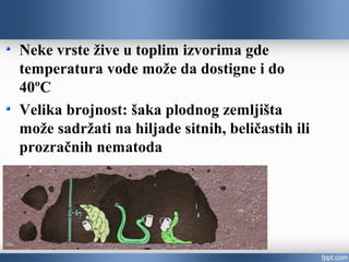 Neke vrste žive u toplim izvorima gde
temperatura vode može da dostigne i do
40ºC
Velika brojnost: šaka plodnog zemljišta
može sadržati na hiljade sitnih, beličastih ili
prozračnih valjkastih crva
 