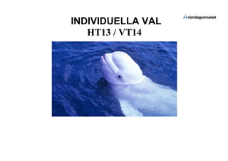 INDIVIDUELLA VAL
HT13 / VT14
 