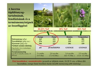 Zsenge Fiatal Bimbós Virágzásban
Szárazanyag (g/kg) 163 221 245 281
Nyersfehérje (g/kg sza.) 276 232 199 177
Nyersrost (g/kg sza) 166 222 282 329
Várható szenázs minőség
(figyelembe véve a technológiai
veszteségeket)
JÓ JÓ-KÖZEPES GYENGE GYENGE
Termésmennyiség
(sza.t/ha és tonna/ha szenázs, 35-
40%sza)
2 t sza/ha
(4-5 t/ha)
2,9 sza.t/ha
(7,3-8,3t/ha )
3,4 sza.t/ha
(8,5- 9,7t/ha .)
5,5 sza.t/ha
(13,4 -15,7t/ha)
A lucerna
táplálóanyag-
tartalmának,
fenofázisának és a
termésmennyiségnek
az összefüggései
Első kaszáláskor: szenázskészítés javasolt az időjárás miatt, 18-20 % sza. a lábon álló
lucernában, zsenge-fiatal fenofázis harán (kisebb mennyiség-jobb minőség)
20-22% NyF 18% NyF 16% NyF
 