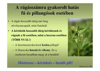 A rágásszámra gyakorolt hatás
fű és pillangósok esetében
• A rágás hosszabb ideig tart öreg
növényanyagnál, mint fiatalnál.
• A kérődzők hosszabb ideig kérődzenek és
rágnak a fű esetében, mint a lucerna esetében
(TÖBB NYÁL!)
– A lucernaszecska kissé kocka-jellegű!
– A fűszecska hosszú és vékony. Ez a
szerkezet lassabban megy át a bendőn!
Buxton et al. 1996
Hőstressz – kérődzés – bendő pH!
 