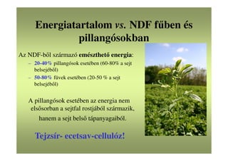 Energiatartalom vs. NDF fűben és
pillangósokban
Az NDF-ből származó emészthető energia:
– 20-40% pillangósok esetében (60-80% a sejt
belsejéből)
– 50-80% füvek esetében (20-50 % a sejt
belsejéből)
A pillangósok esetében az energia nem
elsősorban a sejtfal rostjából származik,
hanem a sejt belső tápanyagaiból.
Tejzsír- ecetsav-cellulóz!
 