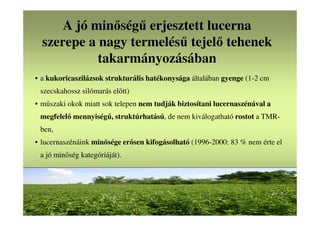 A jó minőségű erjesztett lucerna
szerepe a nagy termelésű tejelő tehenek
takarmányozásában
• a kukoricaszilázsok strukturális hatékonysága általában gyenge (1-2 cm
szecskahossz silómarás előtt)
• műszaki okok miatt sok telepen nem tudják biztosítani lucernaszénával a
megfelelő mennyiségű, struktúrhatású, de nem kiválogatható rostot a TMR-
ben,
• lucernaszénáink minősége erősen kifogásolható (1996-2000: 83 % nem érte el
a jó minőség kategóriáját).
 