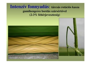 Intenzív fonnyadás: tárcsás rotációs kasza
gumihengeres bordás szársértővel
(2-3% fehérjeveszteség)
 