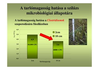A tarlómagasság hatása a Clostridiumok
szaporodására fűszilázsban
3,6
4000 CFU
4,9
84.000 CFU
0,0
1,0
2,0
3,0
4,0
5,0
6,0
2cm 10 cm
Tarlómagasság
logCFU/g
2cm
10 cm
A tarlómagasság hatása a szilázs
mikrobiológiai állapotára
 