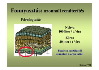 Fonnyasztás: azonnali rendterítés
Bosma 1991
Párologtatás
Nyitva
100 liter / t / óra
Zárva
20 liter / t / óra
Bezár: a kaszálástól
számított 2 órán belül!
 