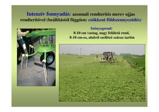 Intenzív fonnyadás: azonnali rendterítés merev ujjas
rendterítővel (beállítástól függően: csökkent földszennyeződés)
Szőnyegrend:
8-10 cm vastag, nagy felületű rend,
8-10 cm-es, alulról szellőző száraz tarlón
 