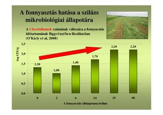 A Clostridiumok számának változása a fonnyasztás
időtartamának függvényében fűszilázsban
(O'Kiely et al, 2008)
1,30
1,00
1,40
1,70
2,20 2,20
0,0
0,5
1,0
1,5
2,0
2,5
0 2 6 14 35 98
A fonnyasztás időtaqrtama órában
logCFU/g
A fonnyasztás hatása a szilázs
mikrobiológiai állapotára
 