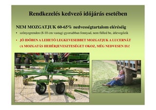 Rendkezelés kedvező időjárás esetében
NEM MOZGATJUK 60-65% nedvességtartalom eléréséig
• szőnyegrenden (8-10 cm vastag) gyorsabban fonnyad, nem fülled be, átlevegőzik
• JÓ IDŐBEN A LEHETŐ LEGKEVESEBBET MOZGATJUK A LUCERNÁT
(A MOZGATÁS HEHÉRJEVESZTESÉGET OKOZ, MÉG NEDVESEN IS)!
 