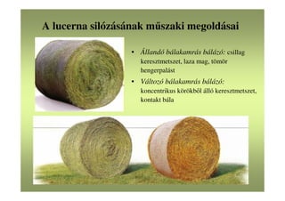 A lucerna silózásának műszaki megoldásai
• Állandó bálakamrás bálázó: csillag
keresztmetszet, laza mag, tömör
hengerpalást
• Változó bálakamrás bálázó:
koncentrikus körökből álló keresztmetszet,
kontakt bála
 