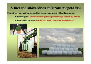 A lucerna silózásának műszaki megoldásai
Egyedi vagy csoportos csomagolású szálas alapanyagú bálaszilázs/szenázs
• Bálamozgatás: speciális bálamozgató adapter szükséges (sérülékeny a fólia)
• Bálatárolás: kazalban, nem igényel fedett tárolóteret! Rágcsálóírtás!
 