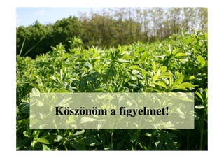 Köszönöm a figyelmet!
 