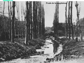 Prado de la magdalena
 