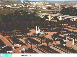 ROSALEDA
 