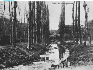 Prado de la magdalena 