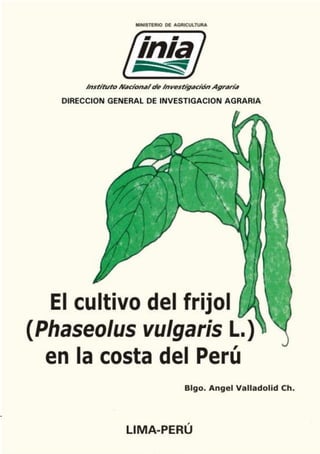 El cultivo del frijol (Phaseolus vulgaris L.) en la costa del Perú
 