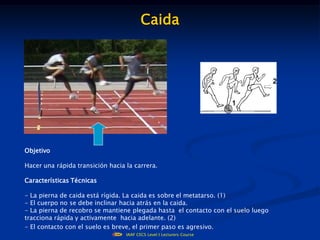 Caida




                                                 .


Objetivo

Hacer una rápida transición hacia la carrera.

Características Técnicas

- La pierna de caida está rígida. La caida es sobre el metatarso. (1)
- El cuerpo no se debe inclinar hacia atrás en la caida.
- La pierna de recobro se mantiene plegada hasta el contacto con el suelo luego
tracciona rápida y activamente hacia adelante. (2)
- El contacto con el suelo es breve, el primer paso es agresivo.
                                  IAAF CECS Level I Lecturers Course
 