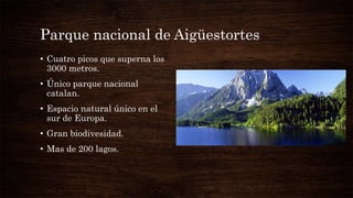 Parque nacional de Aigüestortes
• Cuatro picos que superna los
3000 metros.
• Único parque nacional
catalan.
• Espacio natural único en el
sur de Europa.
• Gran biodivesidad.
• Mas de 200 lagos.
 