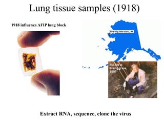 Lung tissue samples (1918)
1918 influenza AFIP lung block
Extract RNA, sequence, clone the virus
 