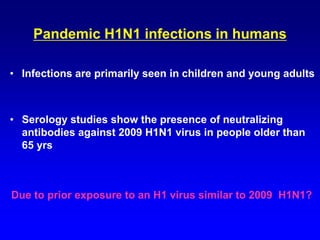Pandemic H1N1 infections in humans
• Infections are primarily seen in children and young adults
• Serology studies show the presence of neutralizing
antibodies against 2009 H1N1 virus in people older than
65 yrs
Due to prior exposure to an H1 virus similar to 2009 H1N1?
 