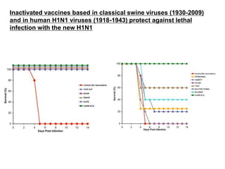 Inactivated vaccines based in classical swine viruses (1930-2009)
and in human H1N1 viruses (1918-1943) protect against lethal
infection with the new H1N1
 
