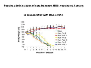 Passive administration of sera from new H1N1 vaccinated humans
In collaboration with Bob Belshe
 
