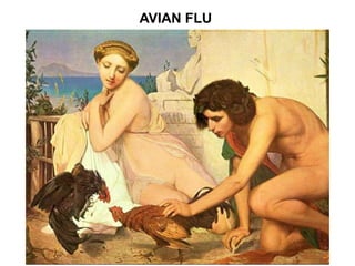 AVIAN FLU
 