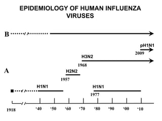 ‘40 ‘50 ‘60 ‘70 ‘80 ‘00‘901918
H1N1
H2N2
H1N1
H3N2
A
B
EPIDEMIOLOGY OF HUMAN INFLUENZA
VIRUSES
‘10
1957
1968
1977
pH1N1
2009
 