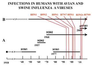 INFECTIONS IN HUMANS WITH AVIAN AND
SWINE INFLUENZA A VIRUSES
H5N1 H9N2 H5N1 H5N1H7N7
‘40 ‘50 ‘60 ‘70 ‘80 ‘00‘901918
H1N1
H2N2
H1N1
H3N2
A
B
‘10
1957
1968
1977
pH1N1
2009
H7N9H3N2v
 