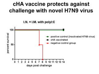 cHA vaccine protects against
challenge with novel H7N9 virus
 
