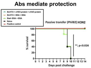Abs mediate protection
H3N2
 