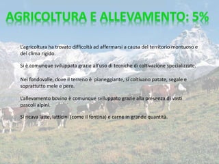 L’agricoltura ha trovato difficoltà ad affermarsi a causa del territorio montuoso e
del clima rigido.
Si è comunque sviluppata grazie all’uso di tecniche di coltivazione specializzate.
Nei fondovalle, dove il terreno è pianeggiante, si coltivano patate, segale e
soprattutto mele e pere.
L’allevamento bovino è comunque sviluppato grazie alla presenza di vasti
pascoli alpini.
Si ricava latte, latticini (come il fontina) e carne in grande quantità.
 