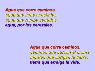 Agua que corre caminos, agua que lame canchales, agua que rompe sentidos, agua, por los cerezales. Agua que corre caminos, caminos que surcan el monte, montes que abrigan la tierra, tierra que arraiga la vida. 
